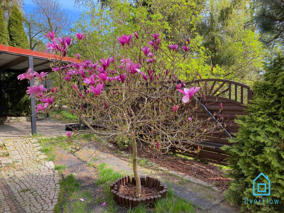 Lux Apartment - Lakefront Apartment In Kamien With Sauna & Hot Tub Only 30 Minutes From Gdansk And Gdynia 外观 照片